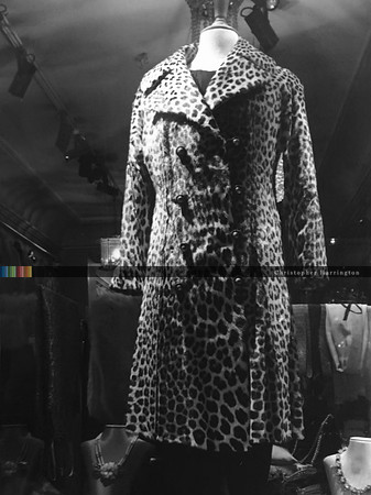 Coat, Paris Night