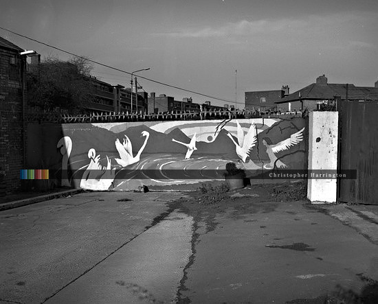 Swans, the Liberties, Dublin, Ireland, 2004